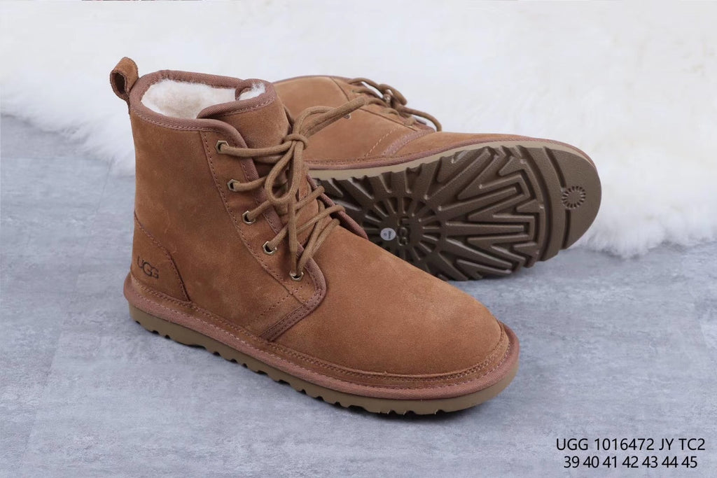 6472 M Harkley – Chestnut (In Stock)