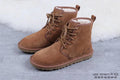 6472 M Harkley – Chestnut (In Stock)