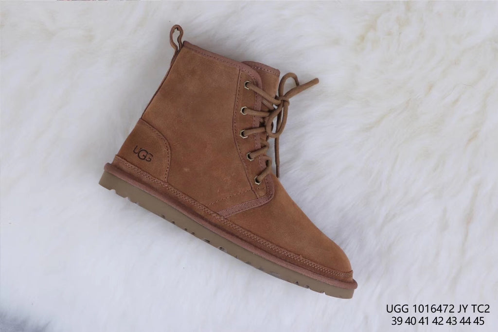 6472 M Harkley – Chestnut (In Stock)